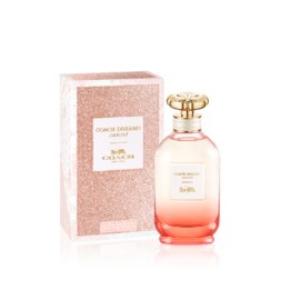 Тренер Мечты Закат EDP