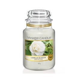 Camellia Blossom Svece -...