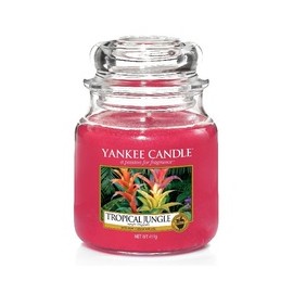 Tropical Jungle Candle -...