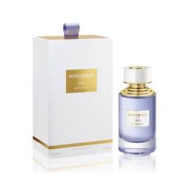 Iris de Syracuse EDP