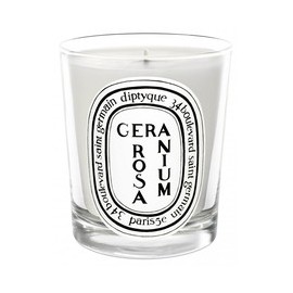 Geranium Rosa Svíčka
