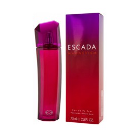 Magnetism EDP