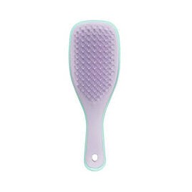 Wet Detangler Mini...