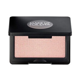 Artist Face Powders...