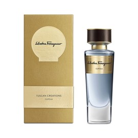Kuppel EDP