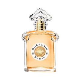 Terracotta EDT